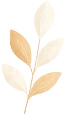 a white and gold leaf on a white background.jpg
